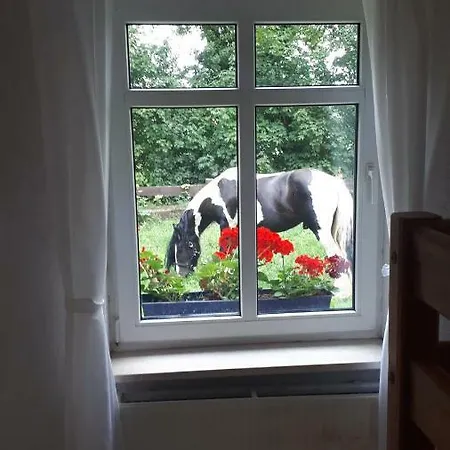 Appartement Ferienwohnung Wintergarten - Glashaus Wittstock